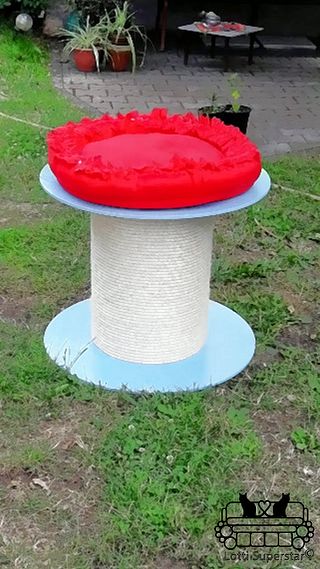 The Cat House Outdoor Throne